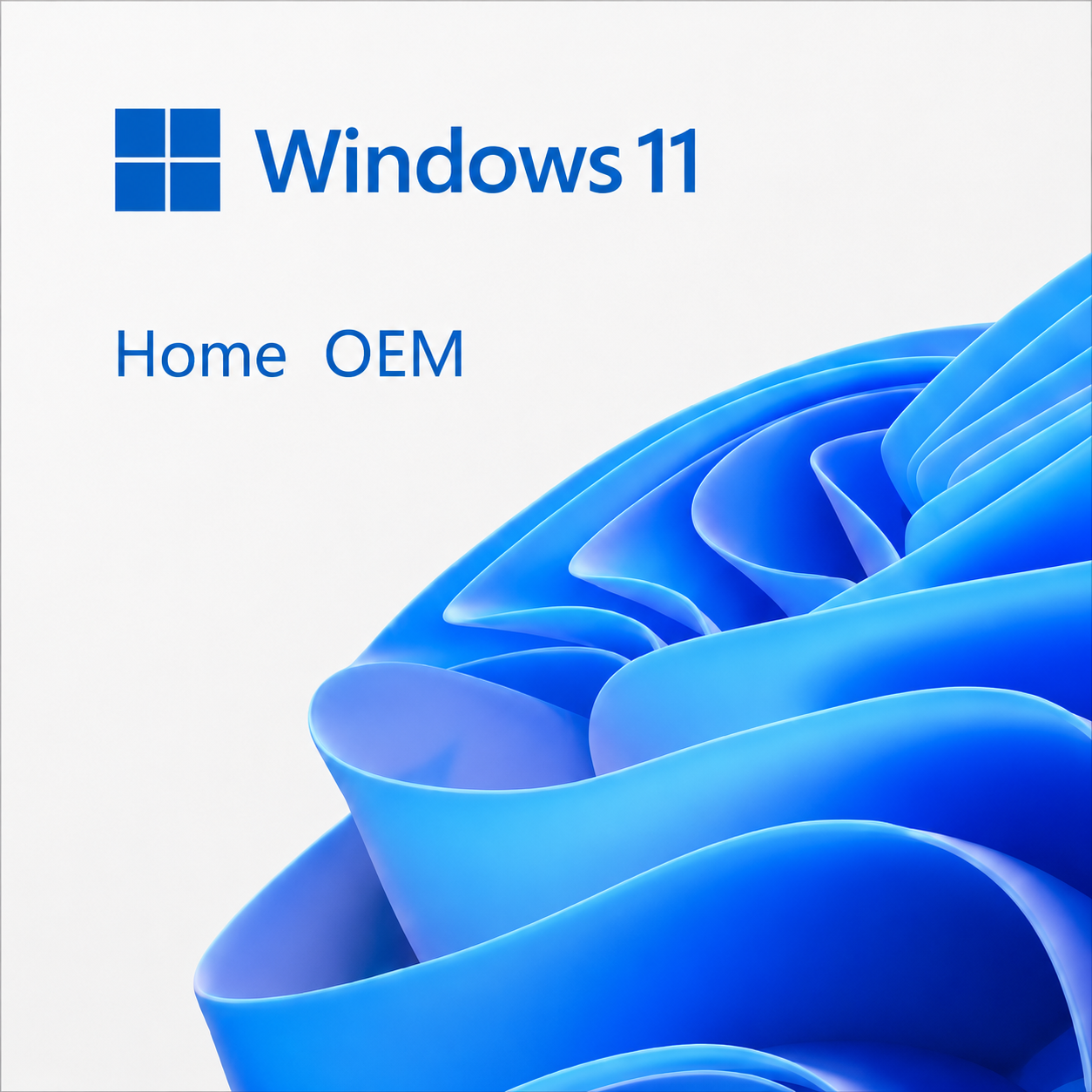 Windows 11 Home Oem lisans Key